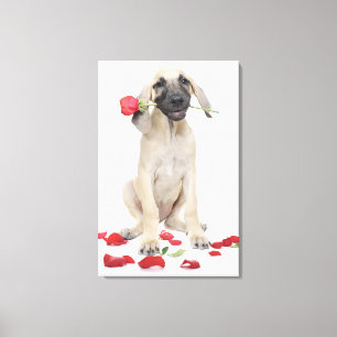 cute,admiration,romance,love, canvas print