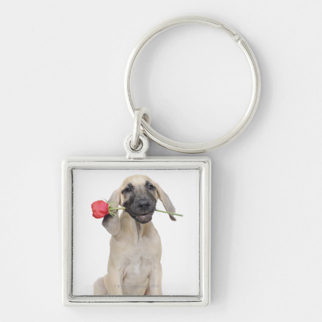 cute,admiration,romance,love, keychain (Front)