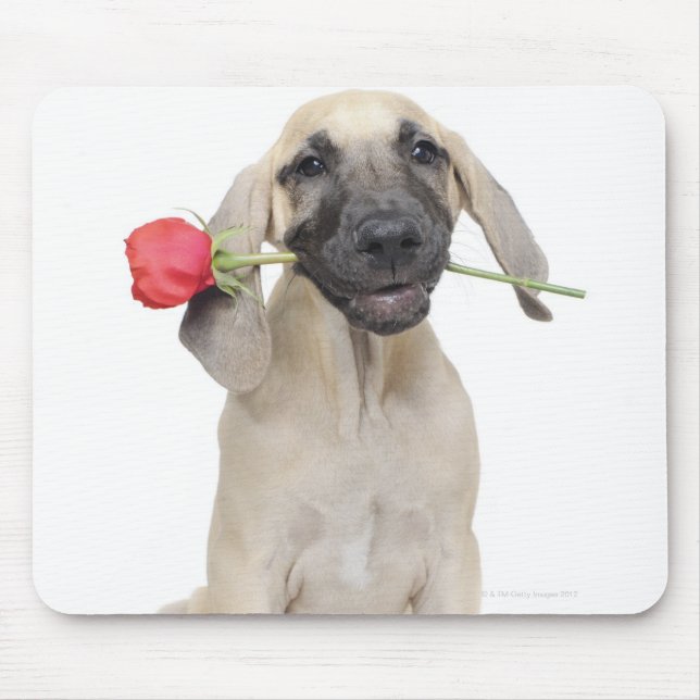 cute,admiration,romance,love, mouse pad (Front)