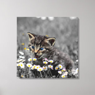Cute Adorable Cat Kitten Canvas Print