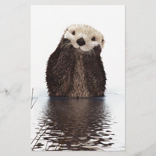 Cute Adorable Fluffy Otter Animal (Front)