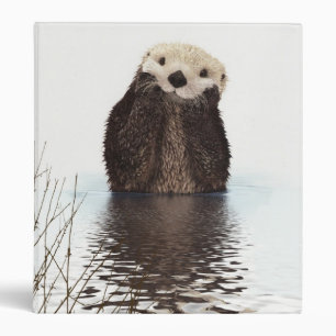 Cute Adorable Fluffy Otter Animal Binder