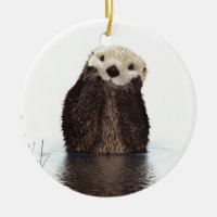 Cute Adorable Fluffy Otter Animal