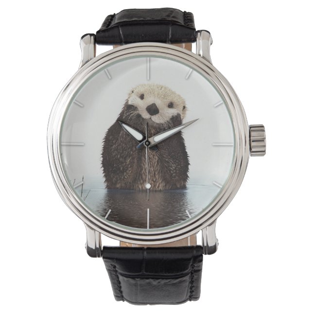 Cute Adorable Fluffy Otter Animal Watch (Front)