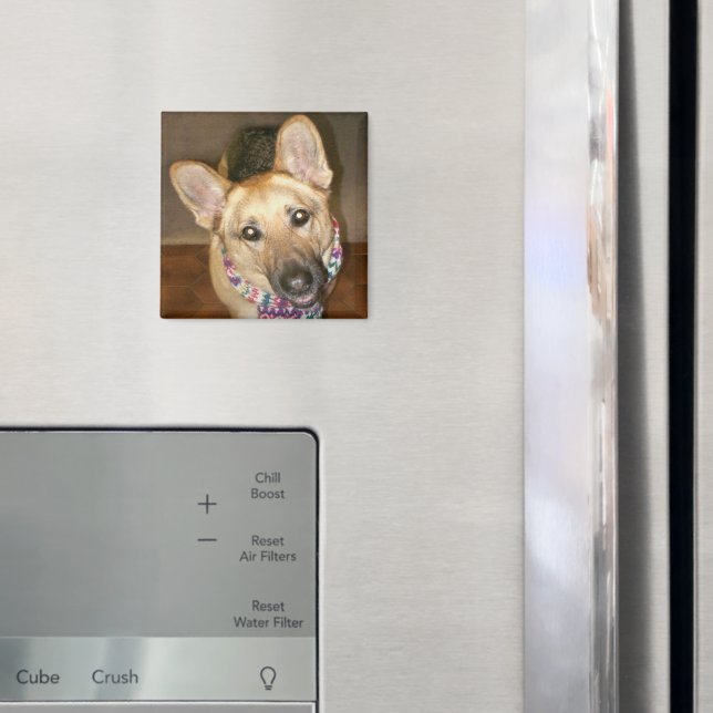 Cute Adorable German Shepherd Dog Black & Tan Magnet (In Situ (Fridge))