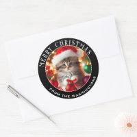 Cute & Adorable Kitten Personalized Christmas