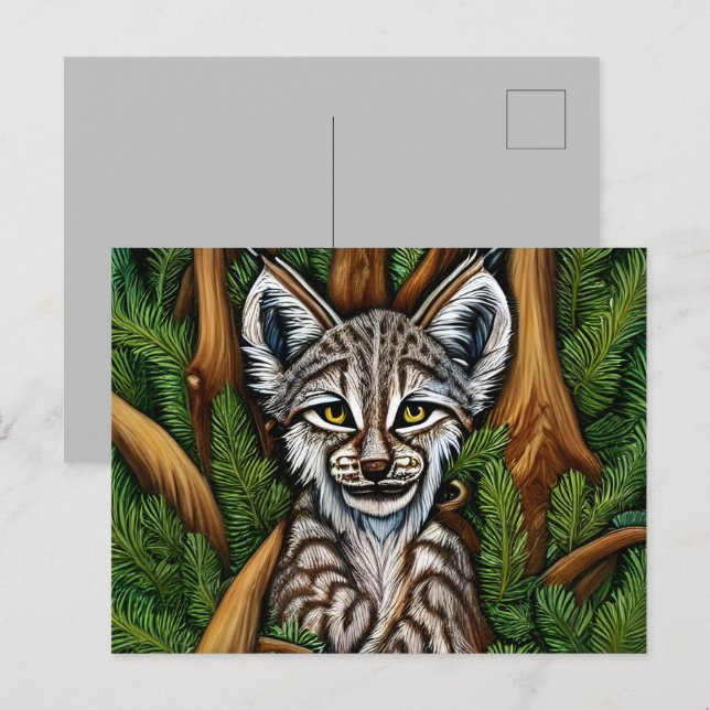 Cute Adorable Little Lynx Kitten Postcard (Front/Back)