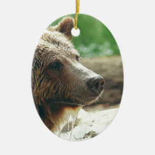 Cute Adorable Nature Bear Animal Face Eyes Ceramic Ornament