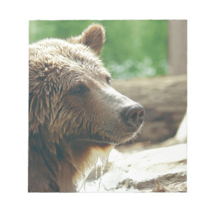 Cute Adorable Nature Bear Animal Face Eyes Notepad
