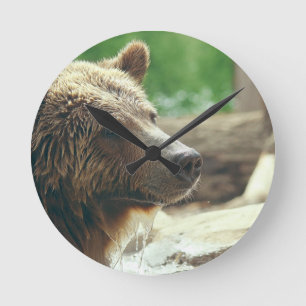 Cute Adorable Nature Bear Animal Face Eyes Round Clock