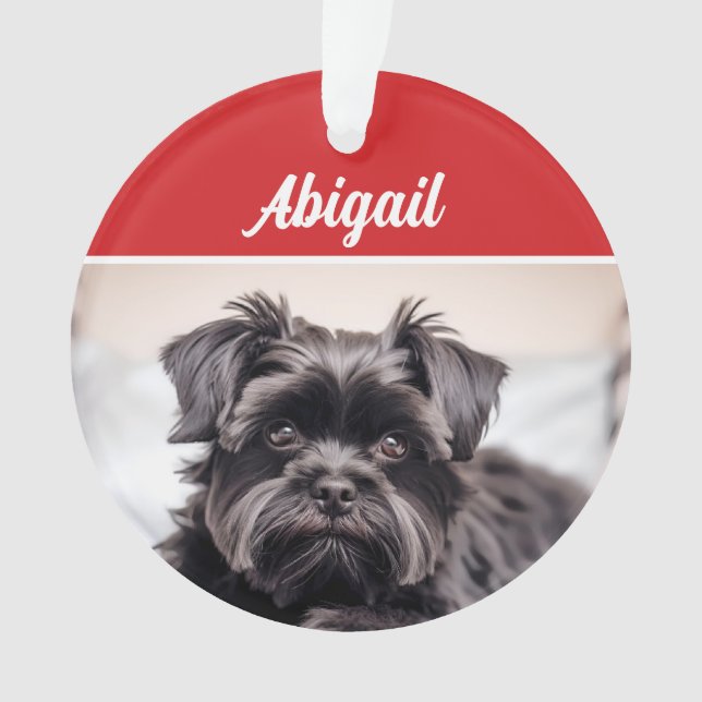 Cute Affenpinscher Chien de Noël (devant)