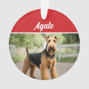Cute Airedale Terrier Chien de Noël