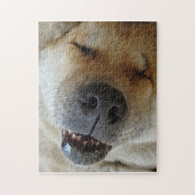 cute akita asleep smiling unique funny dog photos jigsaw puzzle (Vertical)