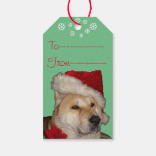 Cute akita dog dressed as santa at christmas gift tags