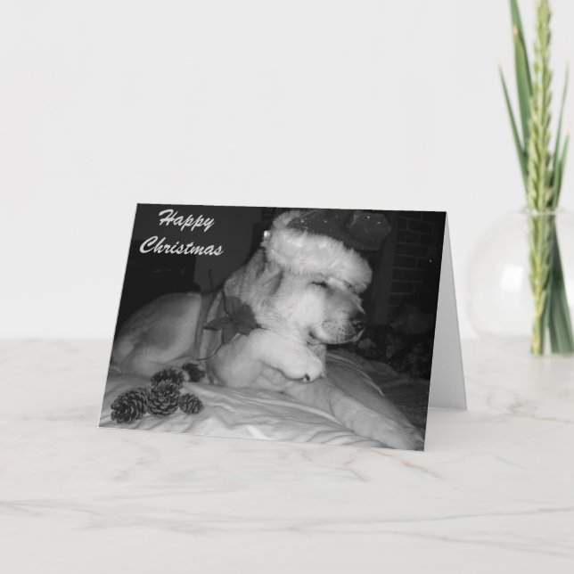 Cute akita dog giving paw santa hat cone christmas holiday card (Front)