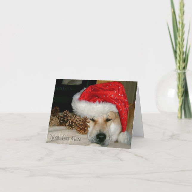 Cute akita dog red santa hat with christmas cones holiday card (Front)