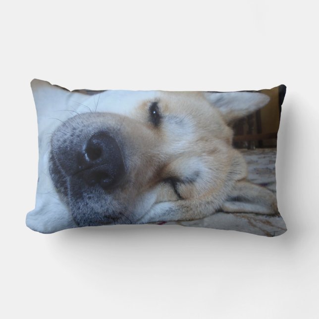 Cute akita dog sleeping with funny expression lumbar pillow (Front)