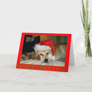 Cute akita in red santa hat with christmas cones holiday card