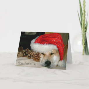 Cute akita in red santa hat with christmas cones holiday card