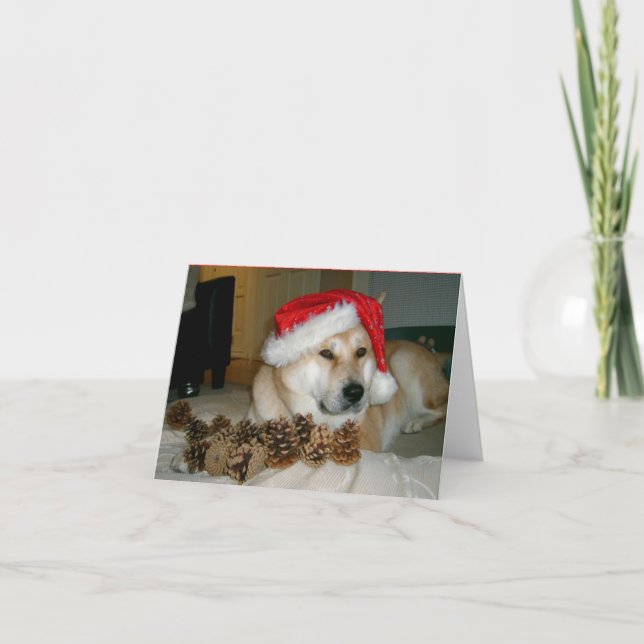 Cute akita in red santa hat with christmas cones holiday card (Front)