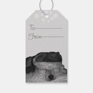 Cute akita in santa hat sleeping christmas dog gift tags