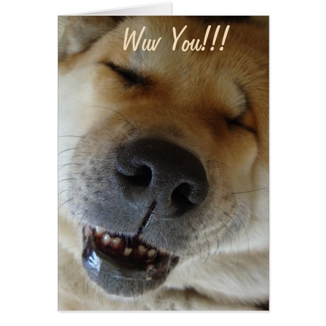 cute akita smiling funny dog love  (Front)