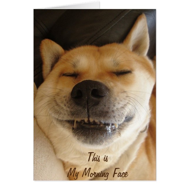 cute akita with funny smile morning face slogan (Front)