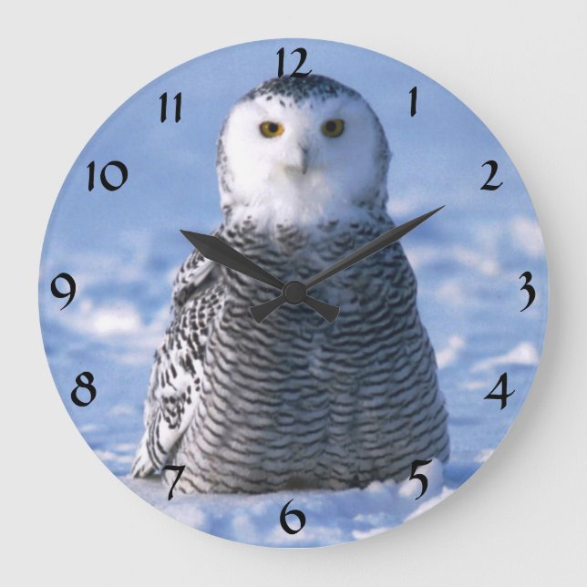 Cute Alaska Arctic Snowy Owl Winter Photo Designed Large Clock (Front)