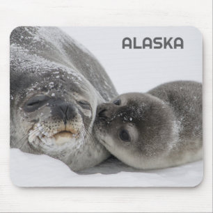 Cute Alaska Baby Seal and Mom Mouse Pad