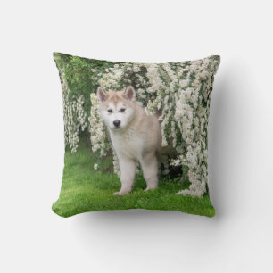 Cute Alaskan Malamute Dog Puppy in Flowers Photo Throw Pillow