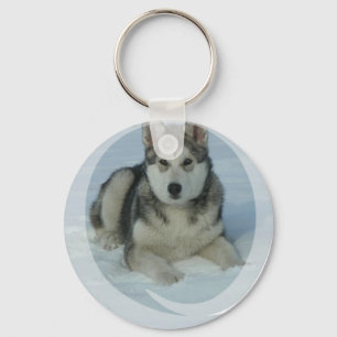 Cute Alaskan Malamute Keychain