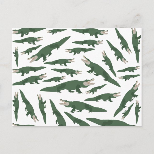 Cute Alligator Crocodile Pattern Holiday Postcard (Front)