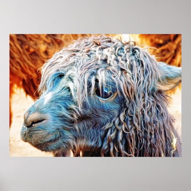 Cute Alpaca Baby in Blue Poster (Front)