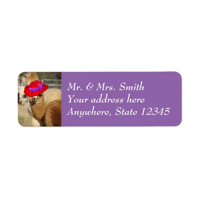 Cute Alpaca Return Address Labels (Front)