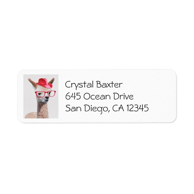 Cute Alpaca Wearing Red Glasses and Cowboy Hat (Front)
