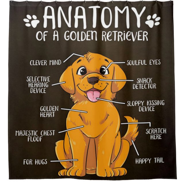 Cute Anatomy Golden Retriever Dog Lover (Front)