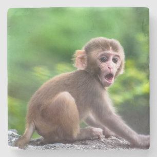 Cute and Adorable Baby Monkey Stone Coaster