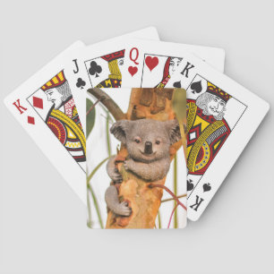 Cute and beautiful Koala Playing Cards