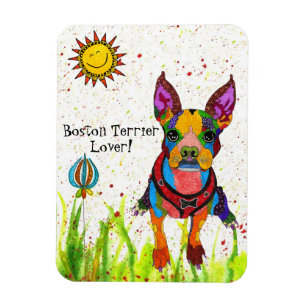 Cute and Colourful Boston Terrier Magnet