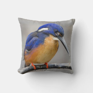 Cute and Colourful Kingfisher or Alcedinidae Bird Throw Pillow