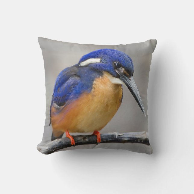 Cute and Colourful Kingfisher or Alcedinidae Bird Throw Pillow (Front)