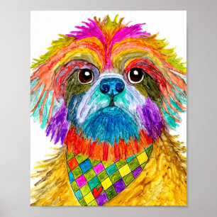 Cute and Colourful Shih Tzu Poster 8"x10"