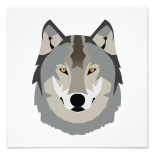 Cute and Cool Grey Wolf Face, Illustrated Animal Photo Print