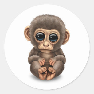Cute and Curious Baby Monkey on White Classic Round Sticker