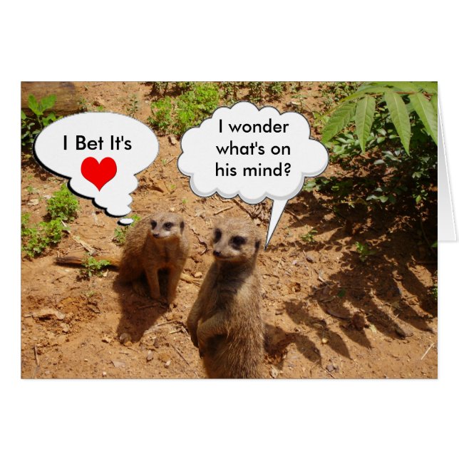 Cute and customizable (Front Horizontal)