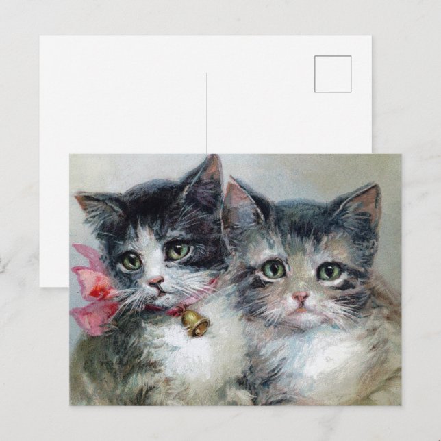 Cute and Cuter, Adorable Kittens, Postcard (Front/Back)