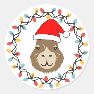 Cute and Funny Capybara Christmas String Lights Classic Round Sticker