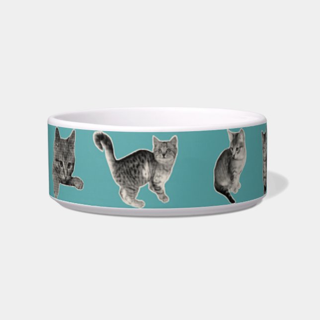 Cute and Funny Cat  Bowl (Front)