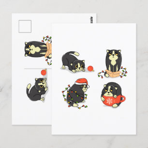 Cute and Funny Christmas Cats Postcard