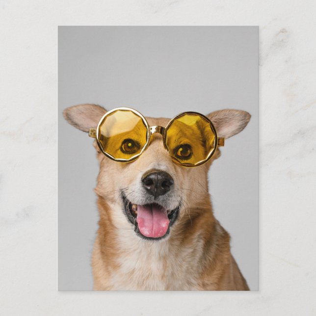 cute and funny dog with glasses postcard (Front)